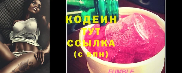 дмт Богданович