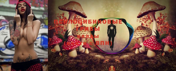 spice Белокуриха